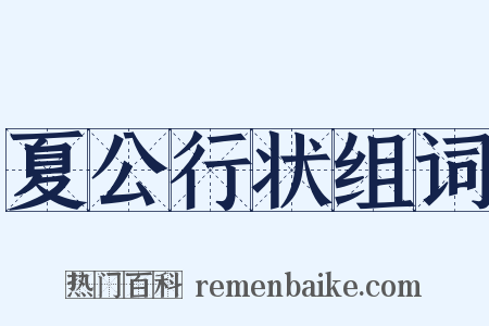 夏公行状组词是什么意思的图片